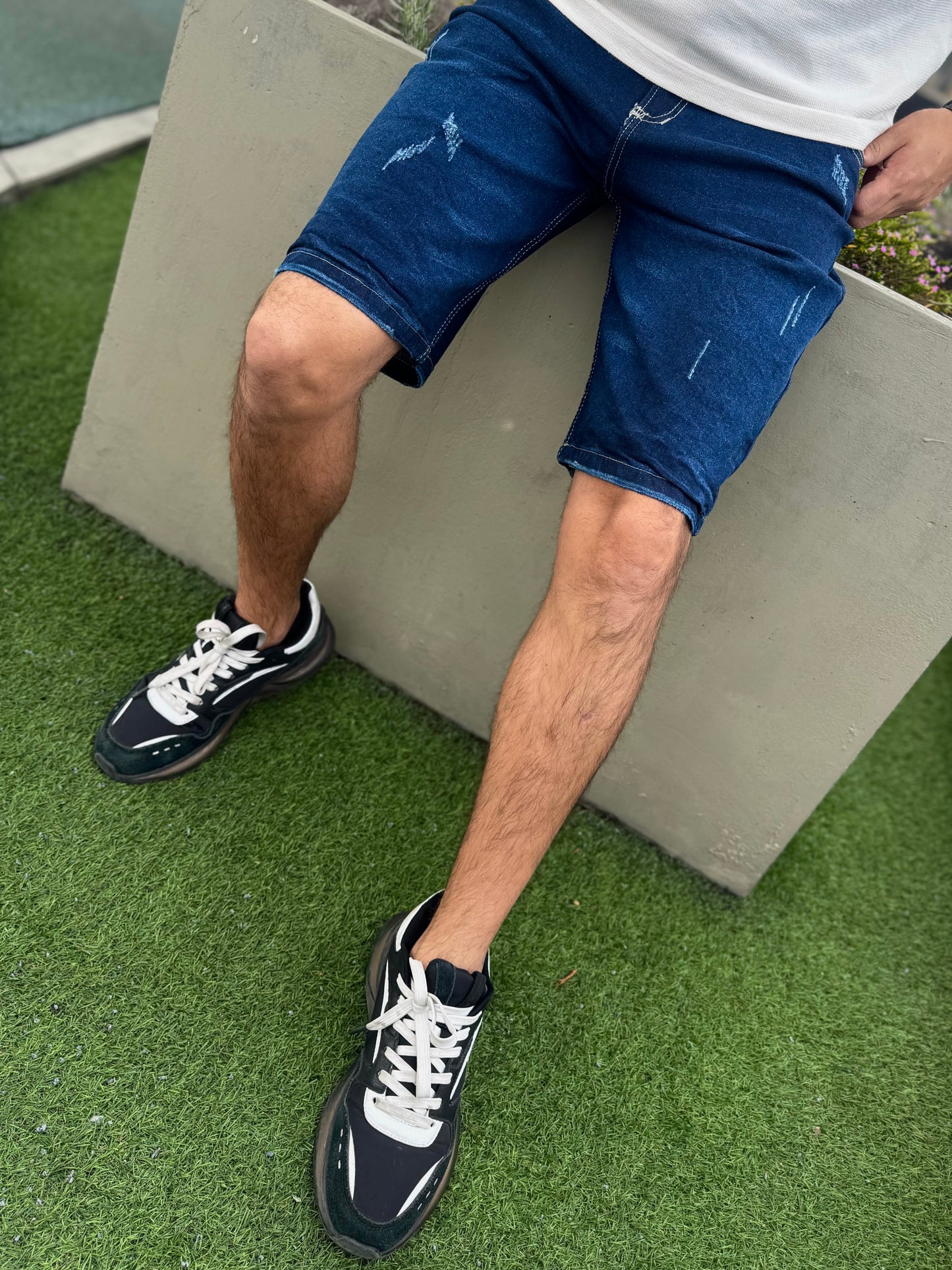 Bermuda Regular Ekkos