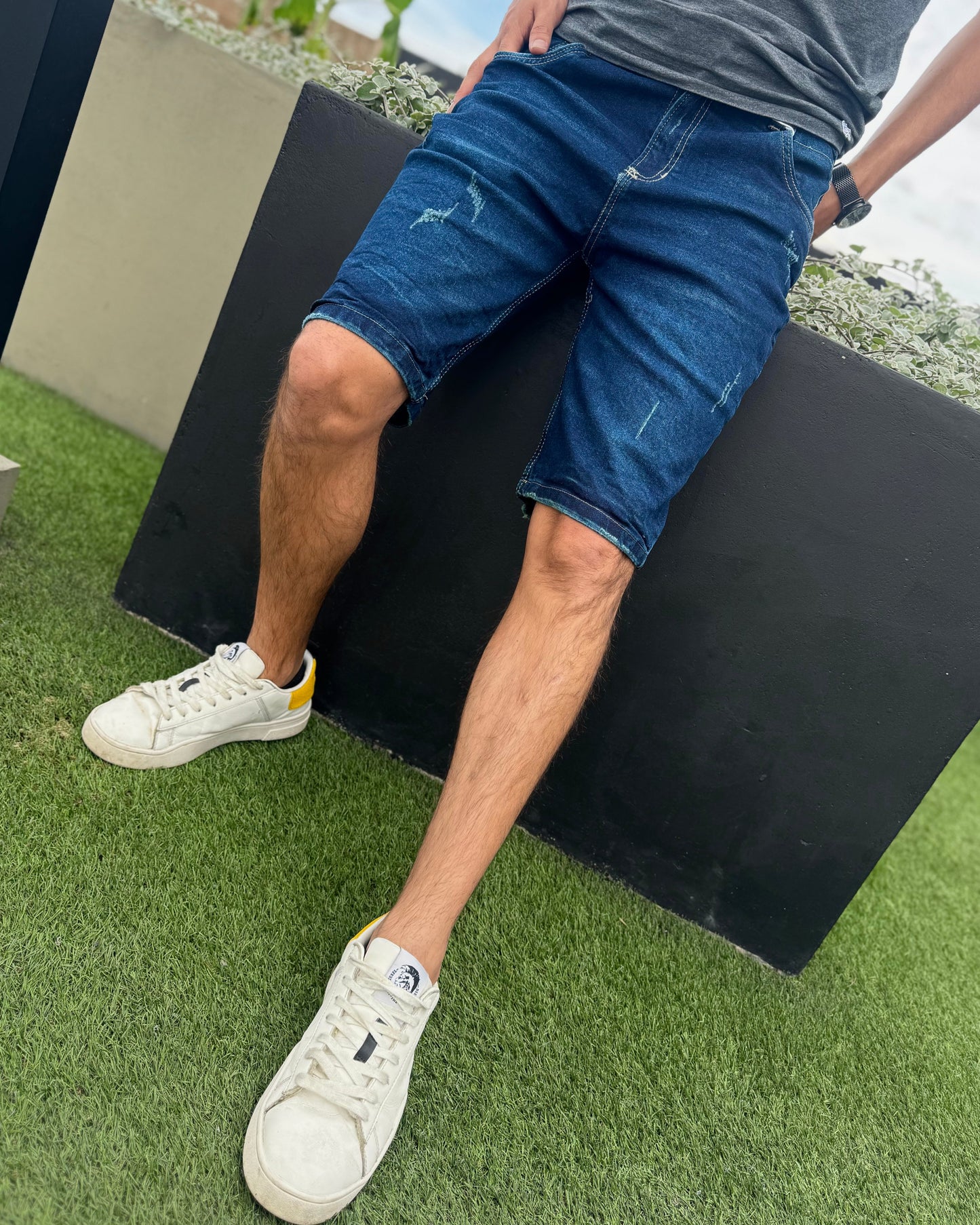 Bermuda Regular Ekkos